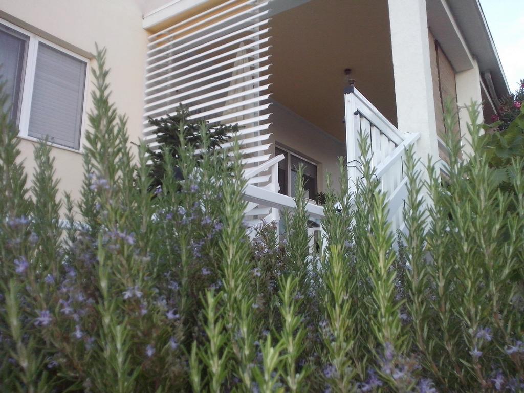 Kuca Za Odmor Laura Apartment Ražanac Екстериор снимка
