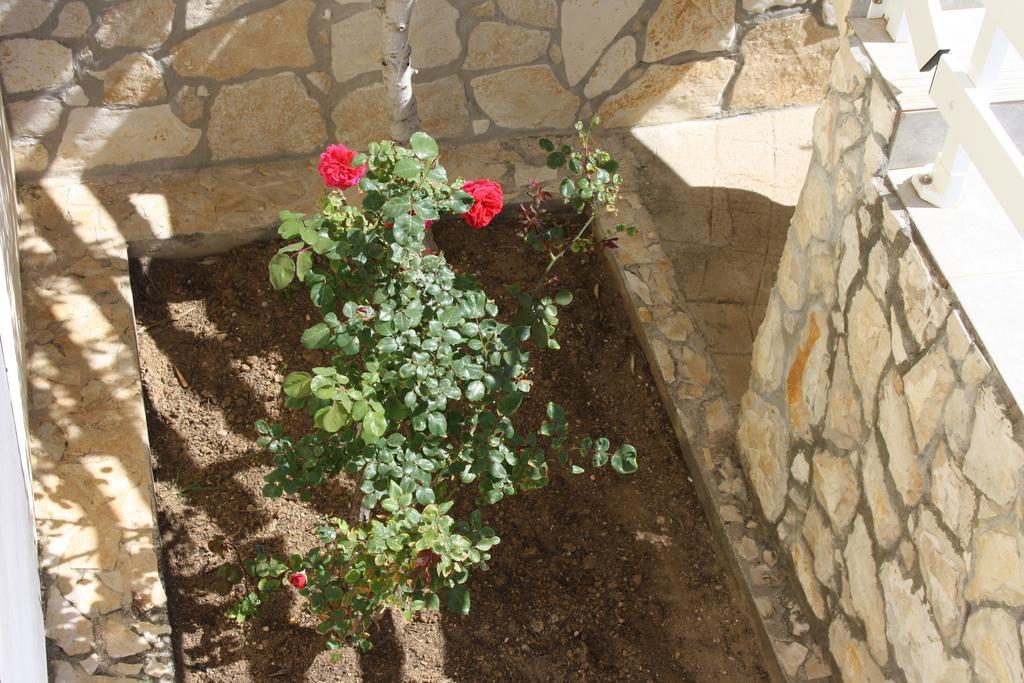 Kuca Za Odmor Laura Apartment Ražanac Екстериор снимка